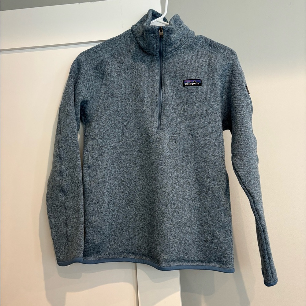 Patagonia Blue Fleece Pullover